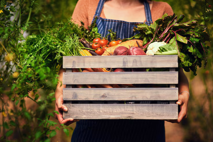 Gustolocale Consegna Prodotti Freschi